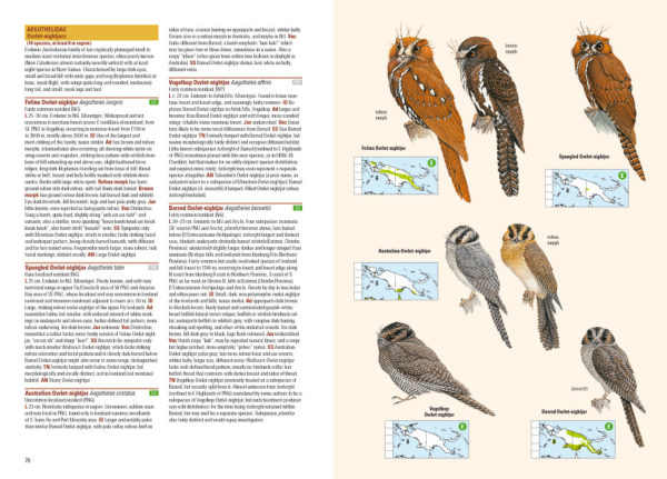 Birds of New Guinea - Including Bismarck Archipelago and Bougainville