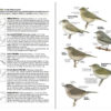 Field Guide to the Birds of North America