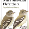 Field Guide to North American Flycatchers: Empidonax and Pewees