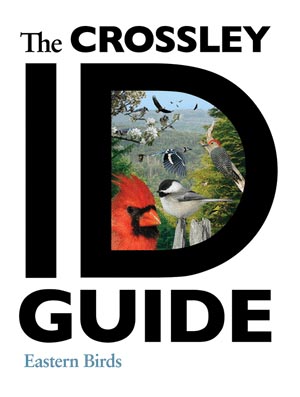 The Crossley ID Guide: