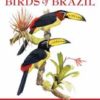 A Field Guide to the Birds of Brazil