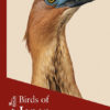 Birds of Japan - Lynx and BirdLife International Field Guides Collection