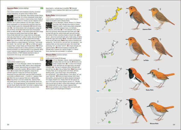 Birds of Japan - Lynx and BirdLife International Field Guides Collection