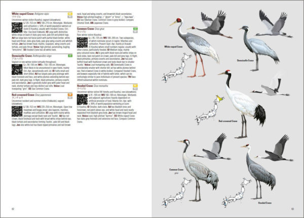 Birds of Japan - Lynx and BirdLife International Field Guides Collection