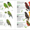 Birds of Colombia