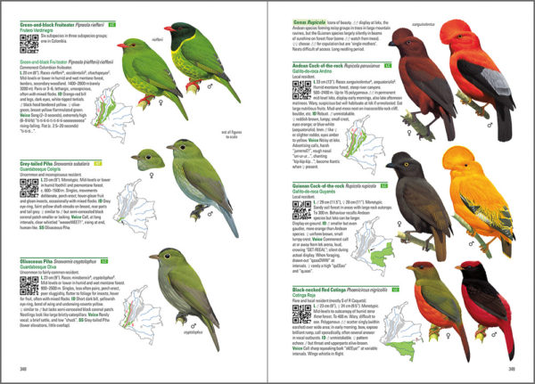 Birds of Colombia