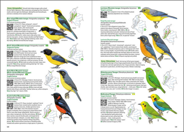 Birds of Colombia