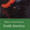 Where to Watch Birds in South America