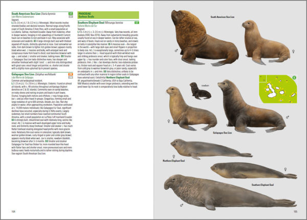 Birds and Mammals of the Galapagos