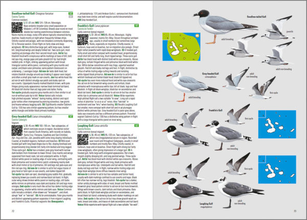 Birds and Mammals of the Galapagos