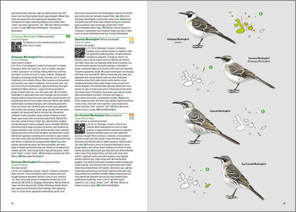 Birds and Mammals of the Galapagos