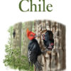 Field Guide to the Birds of Chile - Helm Field Guides