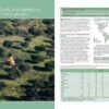 Farmland Birds across the World