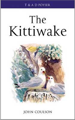 The Kittiwake