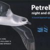 Petrels Night and Day