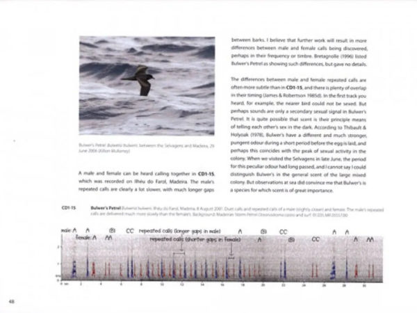 Petrels Night and Day