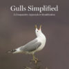 Gulls Simplified