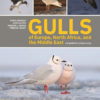 Gulls of Europe, North Africa, and the Middle East