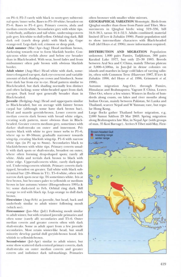 Gulls of Europe, Asia and North America