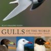 Gulls of the World: A Photographic Guide