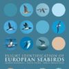 Flight Identification of European Seabirds