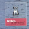 Grebes of our World