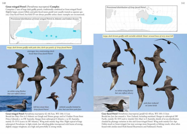 Oceanic Birds of the World