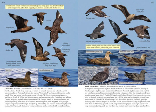 Oceanic Birds of the World