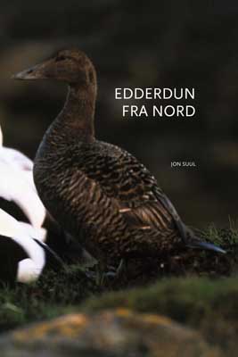 Edderdun fra nord