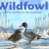 Wildfowl of the Northern Hemisphere