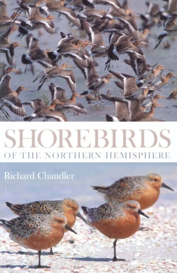 Shorebirds of the Northern Hemisphere