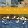 Waders of Europe