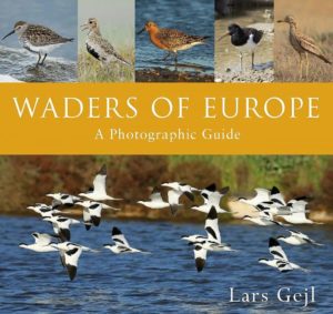 Waders of Europe