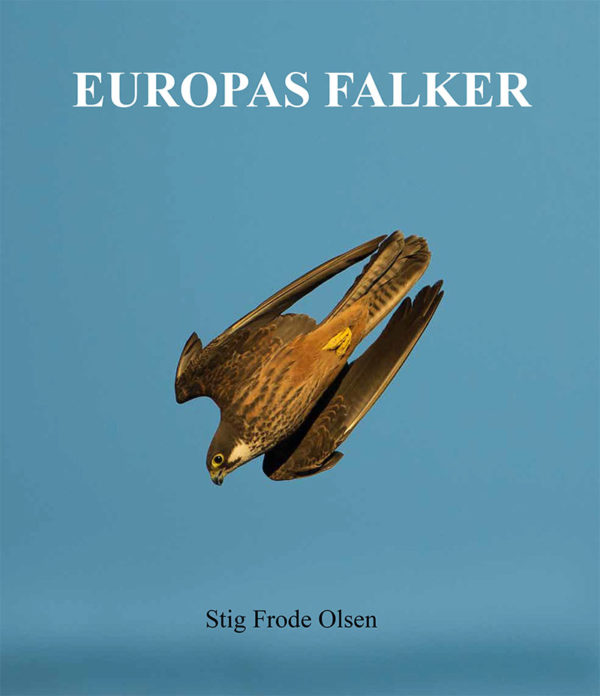 Europas falker