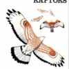 Flight Identification of European Raptors