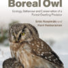 The Boreal Owl