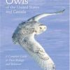 Owls of the United States and Canada