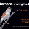 Morocco: sharing the birds