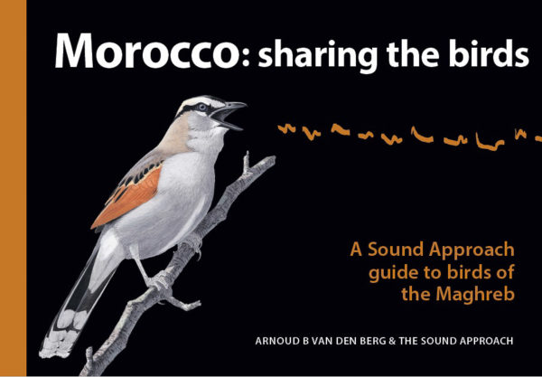 Morocco: sharing the birds