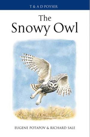 The Snowy Owl