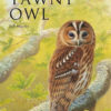 The Tawny Owl