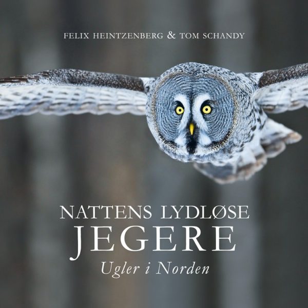 Nattens lydløse jegere