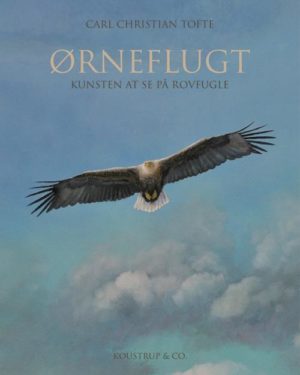 Ørneflugt