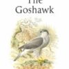 The Goshawk