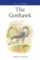 The Goshawk