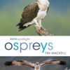 RSPB Spotlight: Ospreys