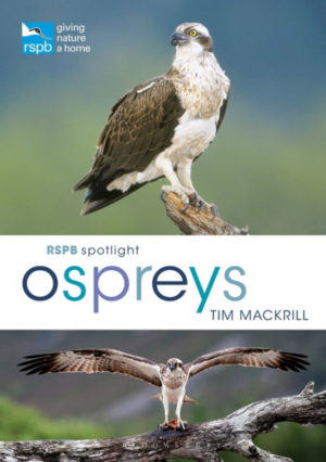 RSPB Spotlight: Ospreys