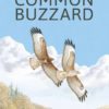 The Common Buzzard