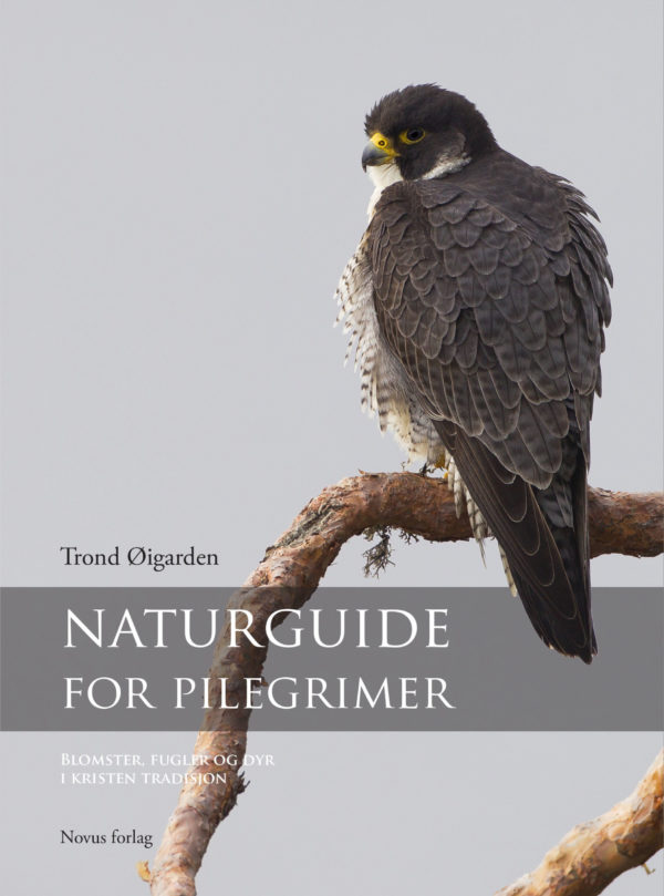 Naturguide for pilegrimer