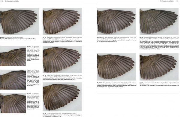 Moult and Ageing in European Passerines